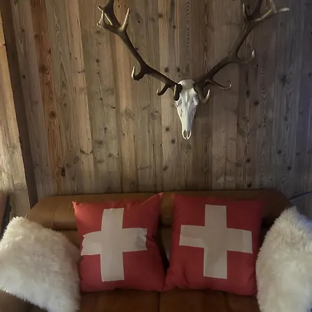 Le Randonneur Charmful Near Zermatt 6 To 12p تاش